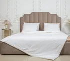 PREMIUM SILK / ПРЕМИАЛЬНЫЙ ШЕЛК 220х240 1500 г Одеяло шелковое всесезонное DC1003