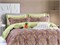 ASABELLA 1981-6 Постельное белье евро 1981-6