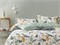 ASABELLA 1938-6 Постельное белье евро 1938-6