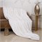 PREMIUM SILK 140х205 450 г Одеяло шелковое легкое DC1011