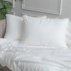 LIBERTY SILK / ЛИБЕРТИ 50х70 см 900 г Подушка c шелком мягкая LC1001