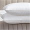 LIBERTY SILK 50х70 см Подушка c шелком средняя LC1002* - фото 193121