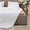 PREMIUM SILK 150х210 1350 г Одеяло шелковое зимнее DC1020S - фото 193134
