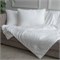 GRACE SILK 150х200 500 г Одеяло шелковое летнее GM1009