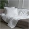 GRACE SILK 140х205 450 г Одеяло шелковое летнее GM1007 - фото 193353