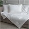 GRACE SILK 140х205 450 г Одеяло шелковое летнее GM1007