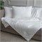 GRACE SILK 150х210 550 г Одеяло шелковое летнее GM1008 - фото 193367