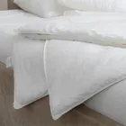 GRACE SILK / ГРЕЙС 150х210 1000 г Одеяло шелковое всесезонное GM1003