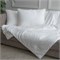 GRACE SILK 150х200 950 г Одеяло шелковое всесезонное GM1004