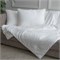 GRACE SILK 140х205 1050 г Одеяло шелковое теплое GM1012