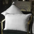 PRIMAVELLE ПЕРЛА 50х72 Подушка пуховая двухкамерная 1195952910-P