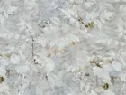 ASABELLA 2269-2OSP Семейный: комплект с 2-мя одеялами 160х220: фланель, тенсел/хлопок 2269-2OSP