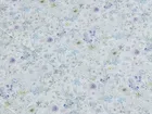 ASABELLA 2272-2OSP Семейный: комплект с 2-мя одеялами 160х220: фланель, тенсел/хлопок 2272-2OSP