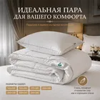 СЕРЕБРЯНАЯ МЕЧТА 50х68 Подушка пуховая мягкая СМ-П-3-1