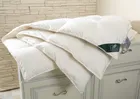 FLAUM SAHNE 200х200 Одеяло пуховое всесезонное DA-17209