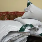 FLAUM FRUHLING Kollektion 50х70 Подушка пуховая упругая, 3-х камерная DF-12506
