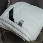 FLAUM AKTIV 200х220 Одеяло стеганое всесезонное GA-54208